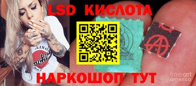 ПСИЛОЦИБИНОВЫЕ ГРИБЫ Моздок