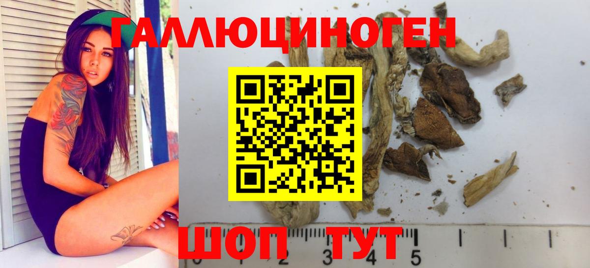 Якутск  Псилоцибиновые грибы GOLDEN TEACHER  Вход с VPN 